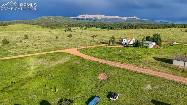 a view of a garden with an ocean 