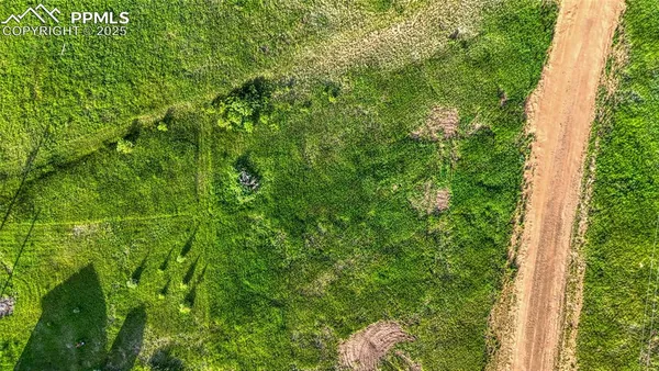 a view of a field with an ocean