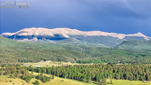 a swimming pool with lawn chairs and wooden fence