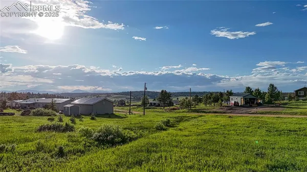 $22,000 | Lot 112 Will Scarlet Dr Divide, Divide, CO 80814