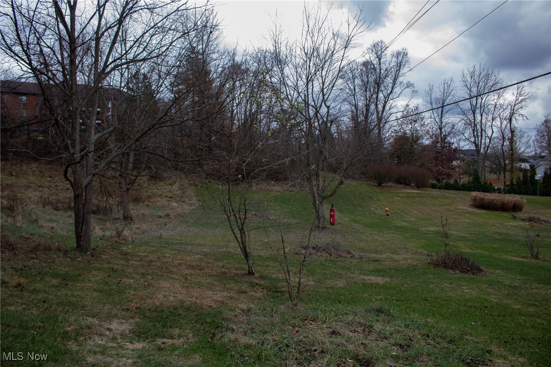 1900 Maple Road Cambridge, OH 43725 - Photo 9 of 45 View of yard