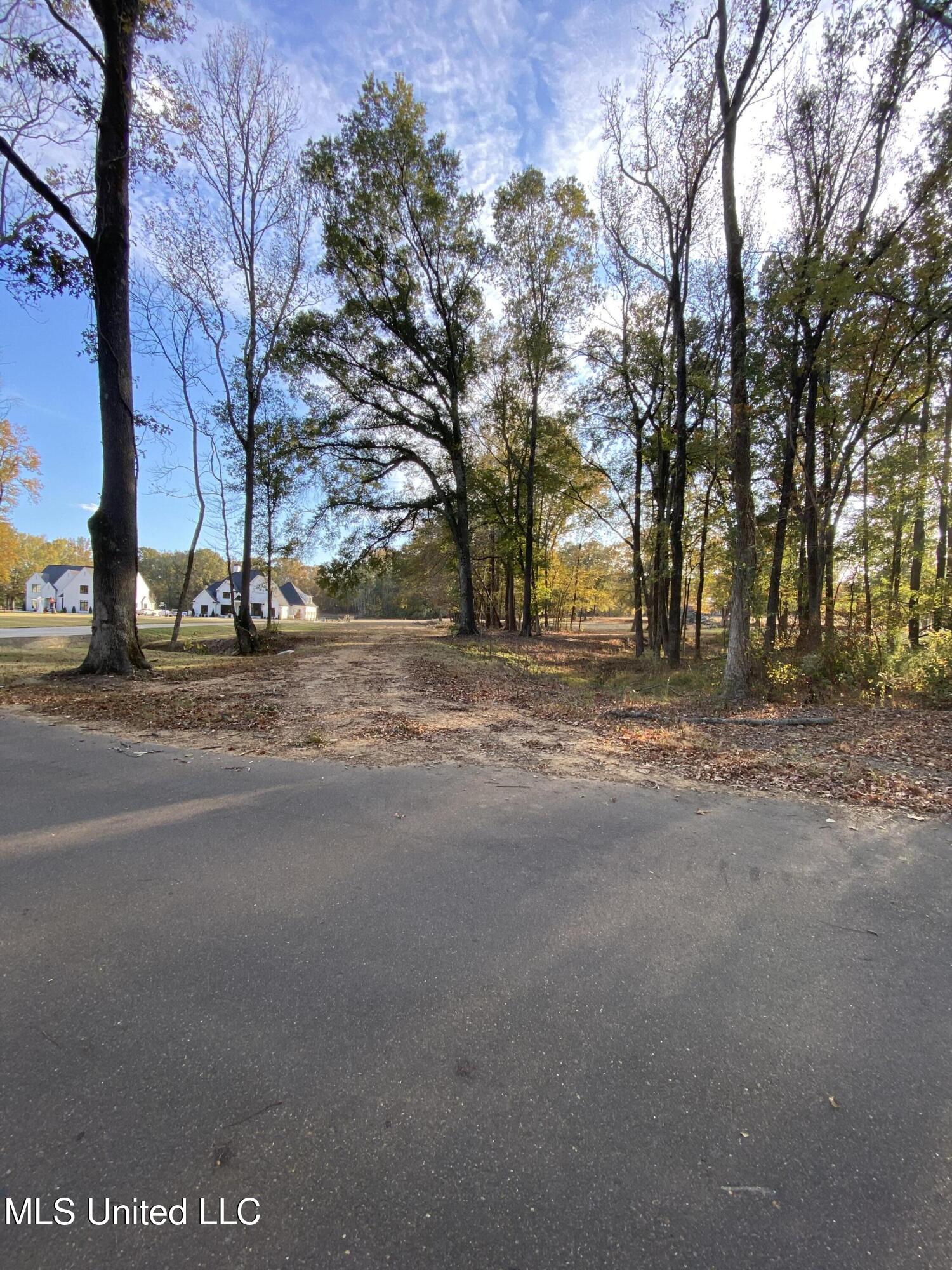 Lot 5 Bright Road Hernando, MS 38632 - Photo 3 of 5 pic 1