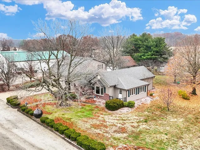 a view of a swimming pool with a yard and plants