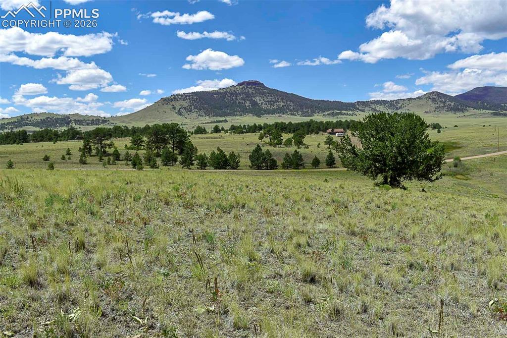 4680 County Road 71 Guffey, CO 80820 - Photo 9 of 15