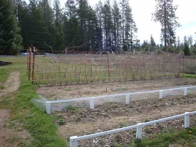 40211 North Collins Road Elk, WA 99009 - Photo 9 of 9