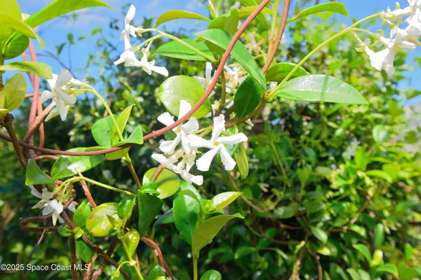 $679,900 | 325 North Orlando Avenue, Cocoa Beach, FL 32931