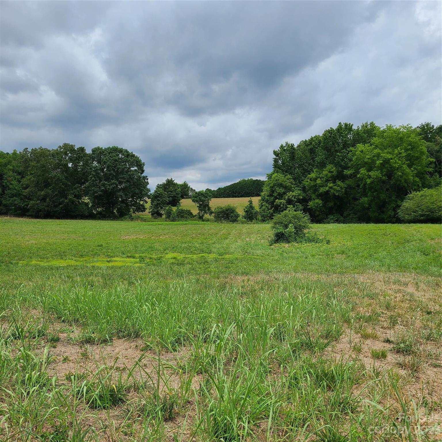Approx 8.176-on Approx 8.176-on Tite Road Stanfield, NC 28163 - Photo 6 of 18 a view of a garden with a building in the background