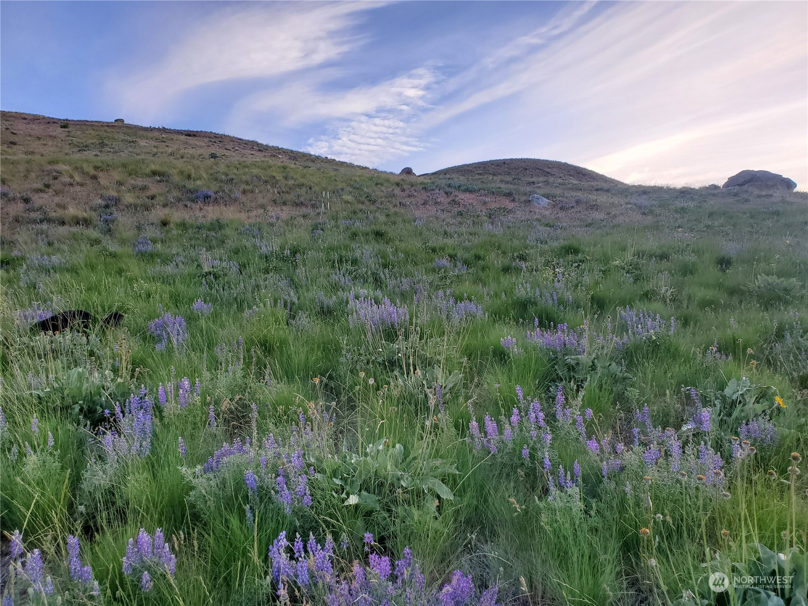 15 Bonner Lake Road Winthrop, WA 98862 - Photo 1 of 38 Gallery Image 1