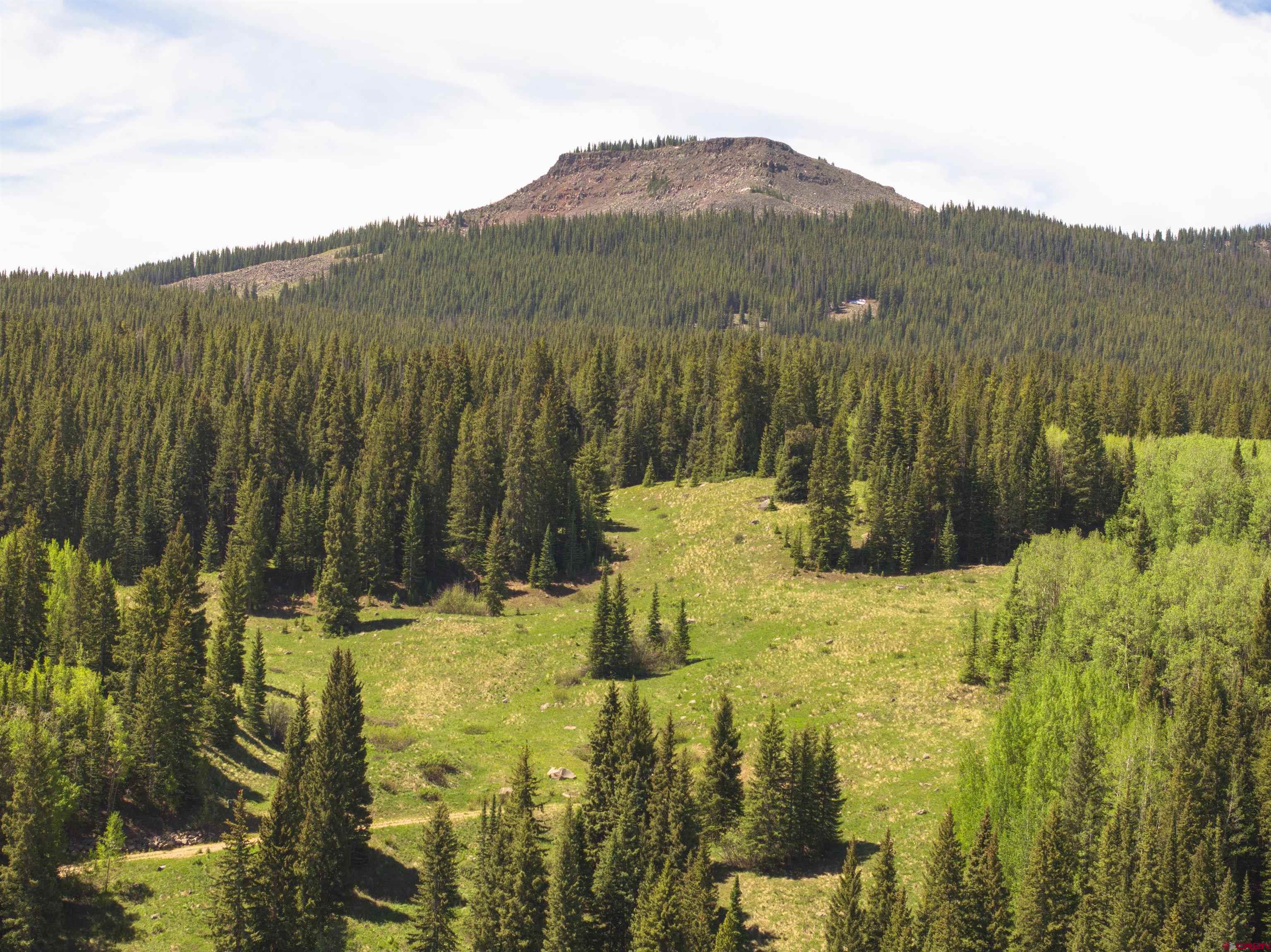 1371 Red Mountain Ranch Road Crested Butte, CO 81224 - Photo 15 of 41