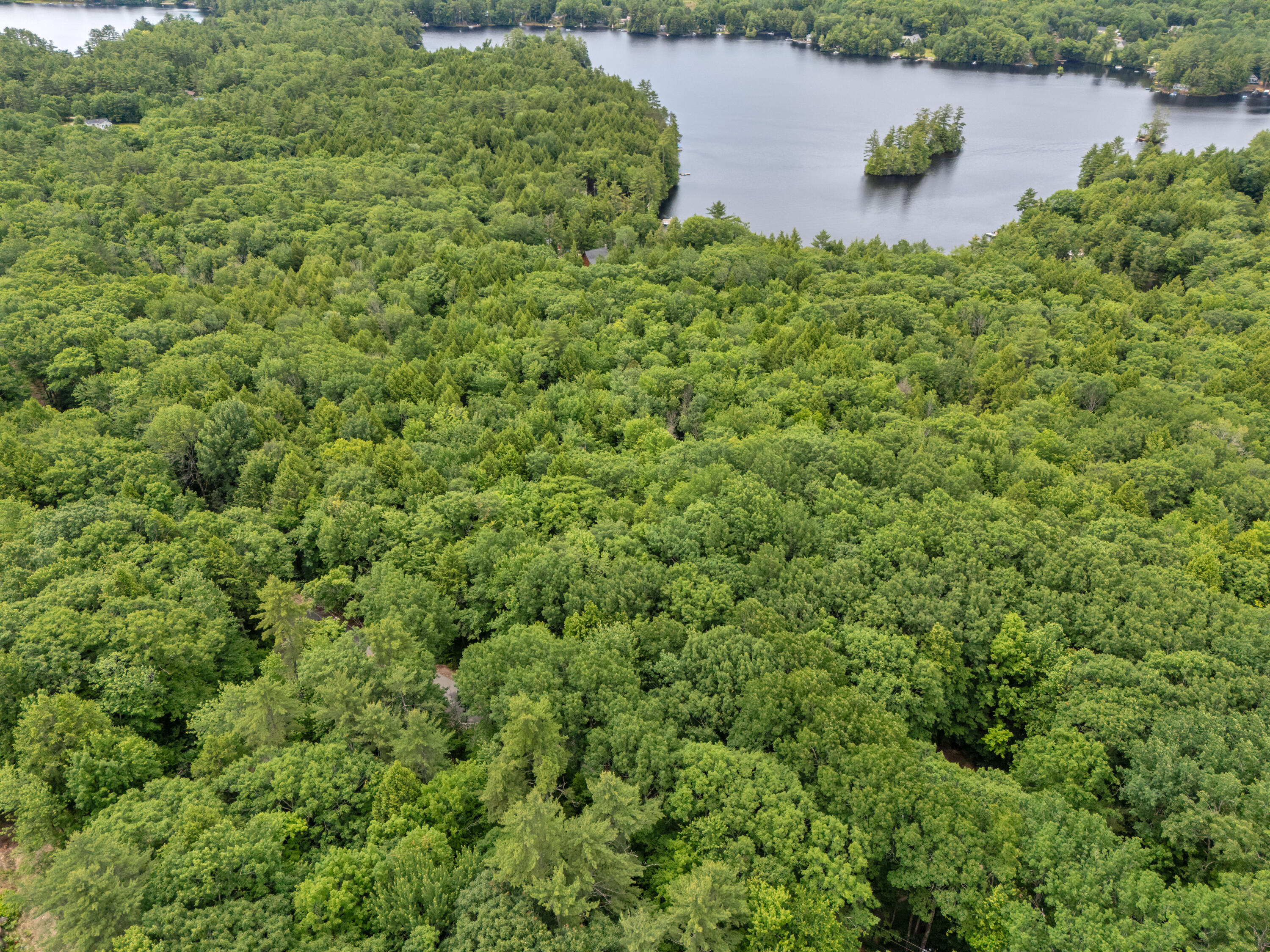 Lot 1-8 Watson Hill Road Limerick, ME 04048 - Photo 10 of 26 DJI_20260620105357_0236_D
