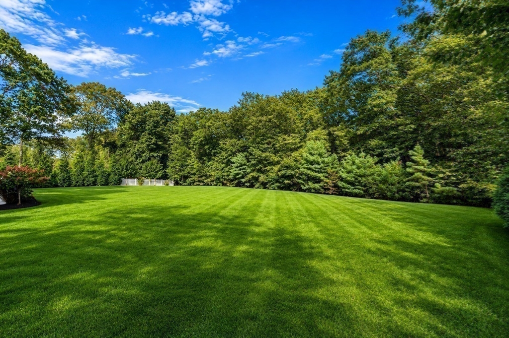175 Schoolmasters Lane Dedham, MA 02026 - Photo 40 of 41