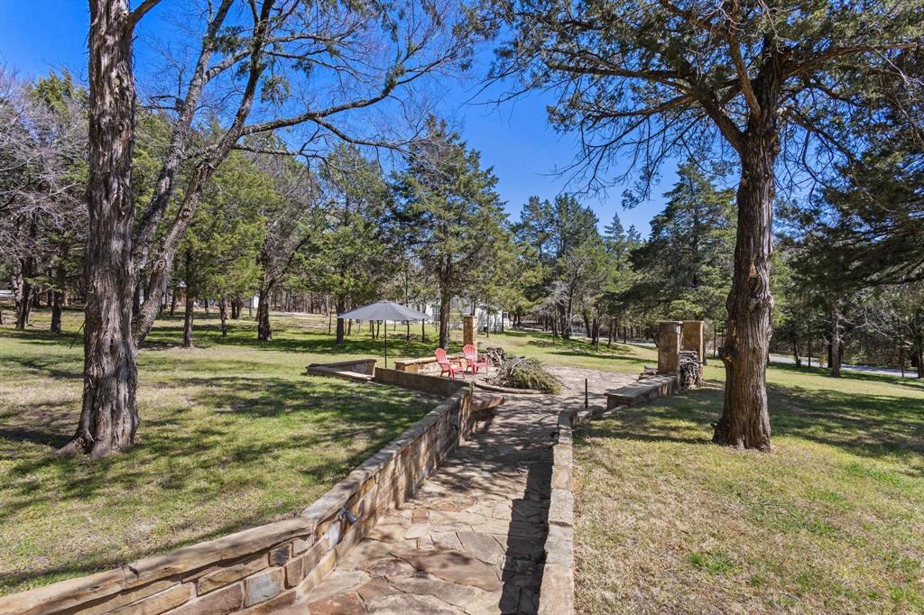a view of a yard with trees
