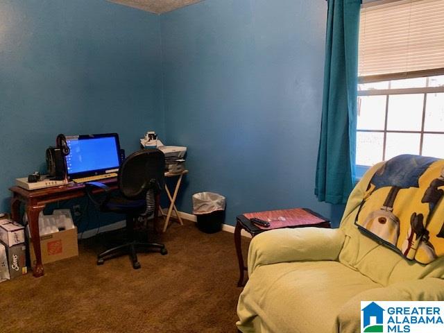 80 Ridgewood Drive Eastaboga, AL 36260 - Photo 17 of 20