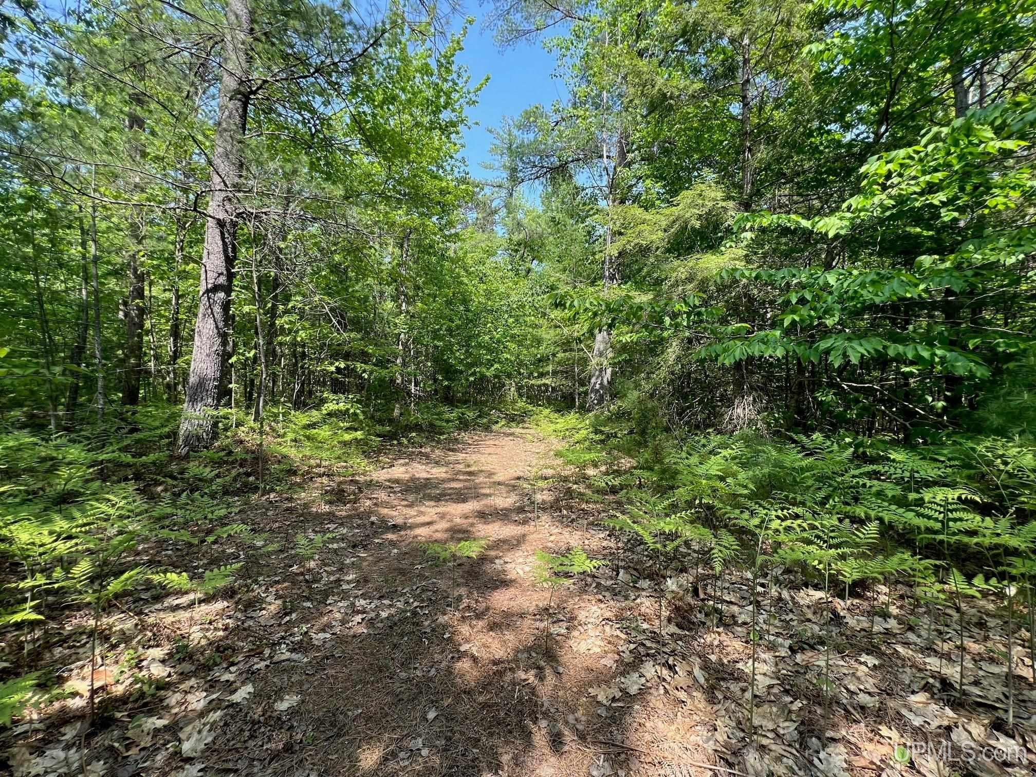 Tbd Powell Lake Road Wetmore, MI 49895 - Photo 8 of 13