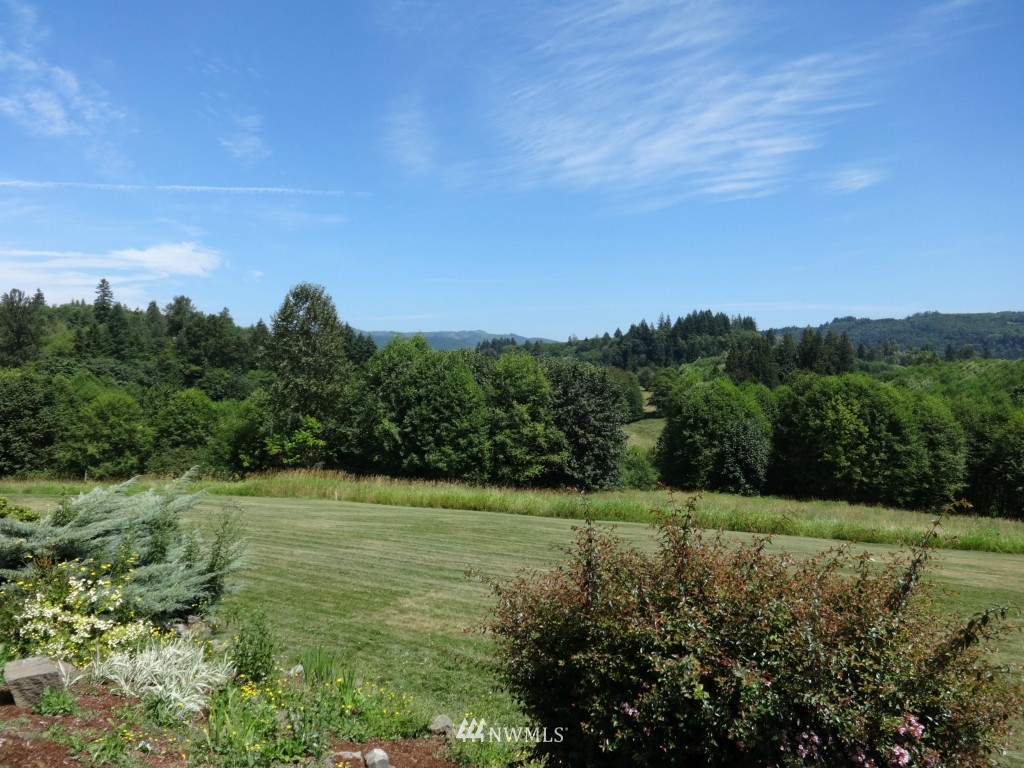 130 Elk Ridge Road Mossyrock, WA 98564 - Photo 7 of 24 Gallery Image 7