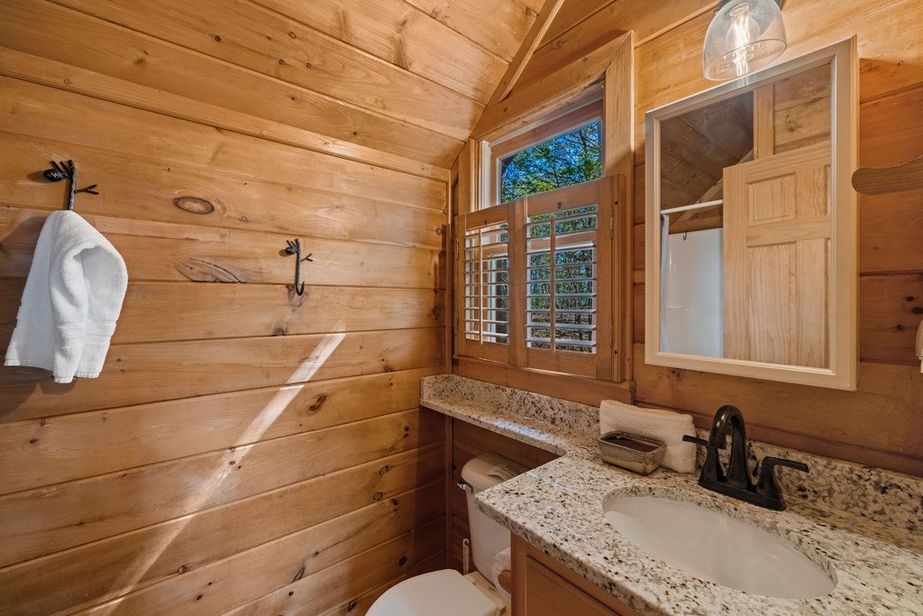 258 Dupont Drive Blue Ridge, GA 30513 - Photo 13 of 36