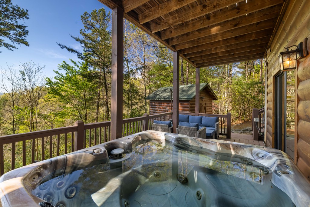 258 Dupont Drive Blue Ridge, GA 30513 - Photo 22 of 36