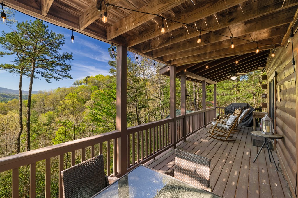 258 Dupont Drive Blue Ridge, GA 30513 - Photo 24 of 36