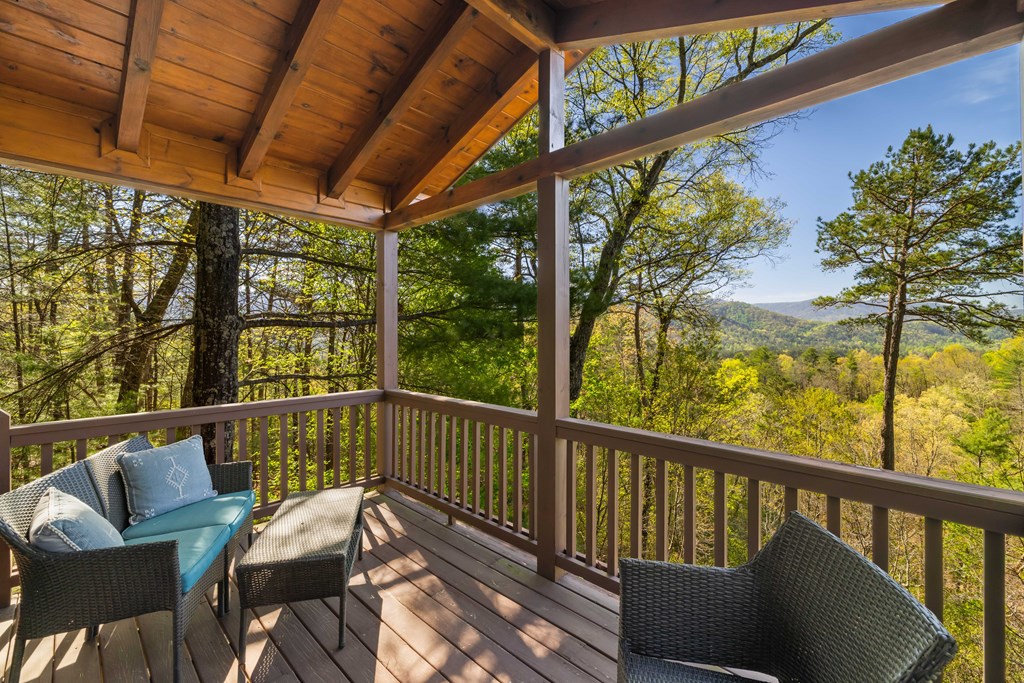 258 Dupont Drive Blue Ridge, GA 30513 - Photo 25 of 36