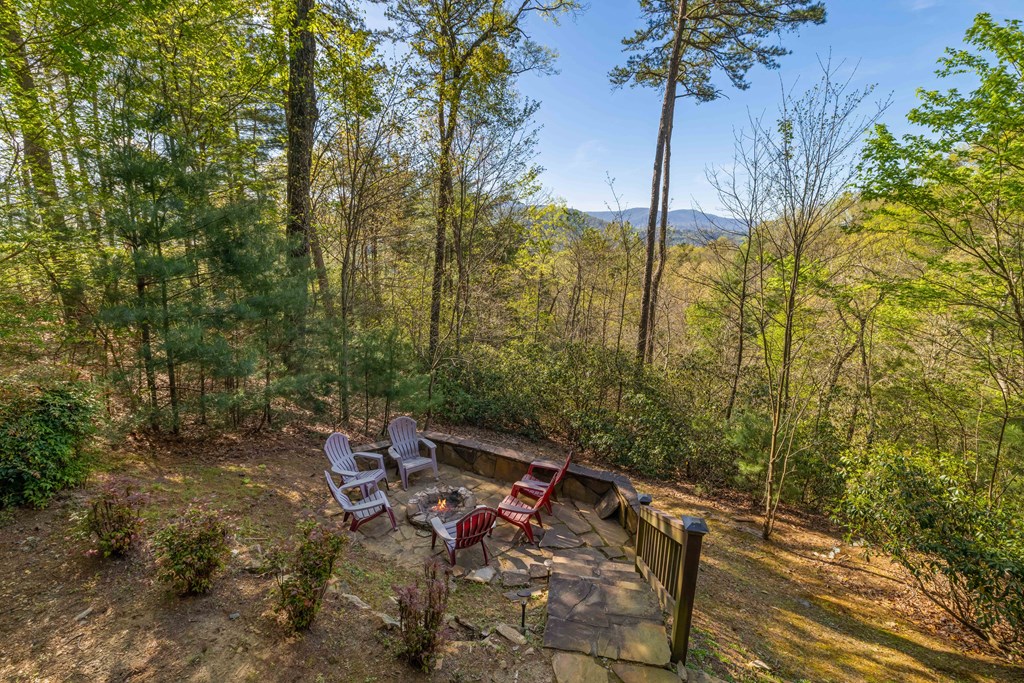 258 Dupont Drive Blue Ridge, GA 30513 - Photo 27 of 36