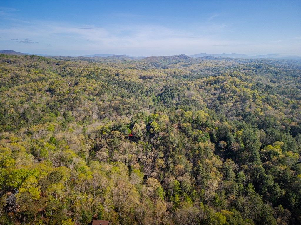 258 Dupont Drive Blue Ridge, GA 30513 - Photo 28 of 36