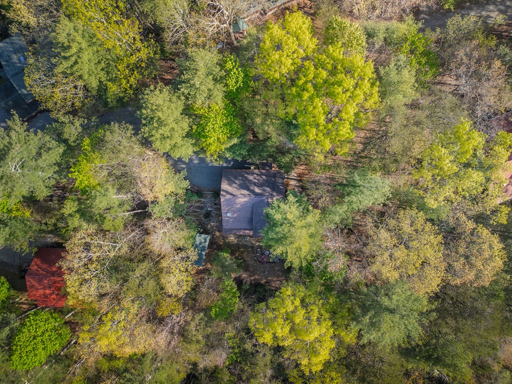 258 Dupont Drive Blue Ridge, GA 30513 - Photo 36 of 36