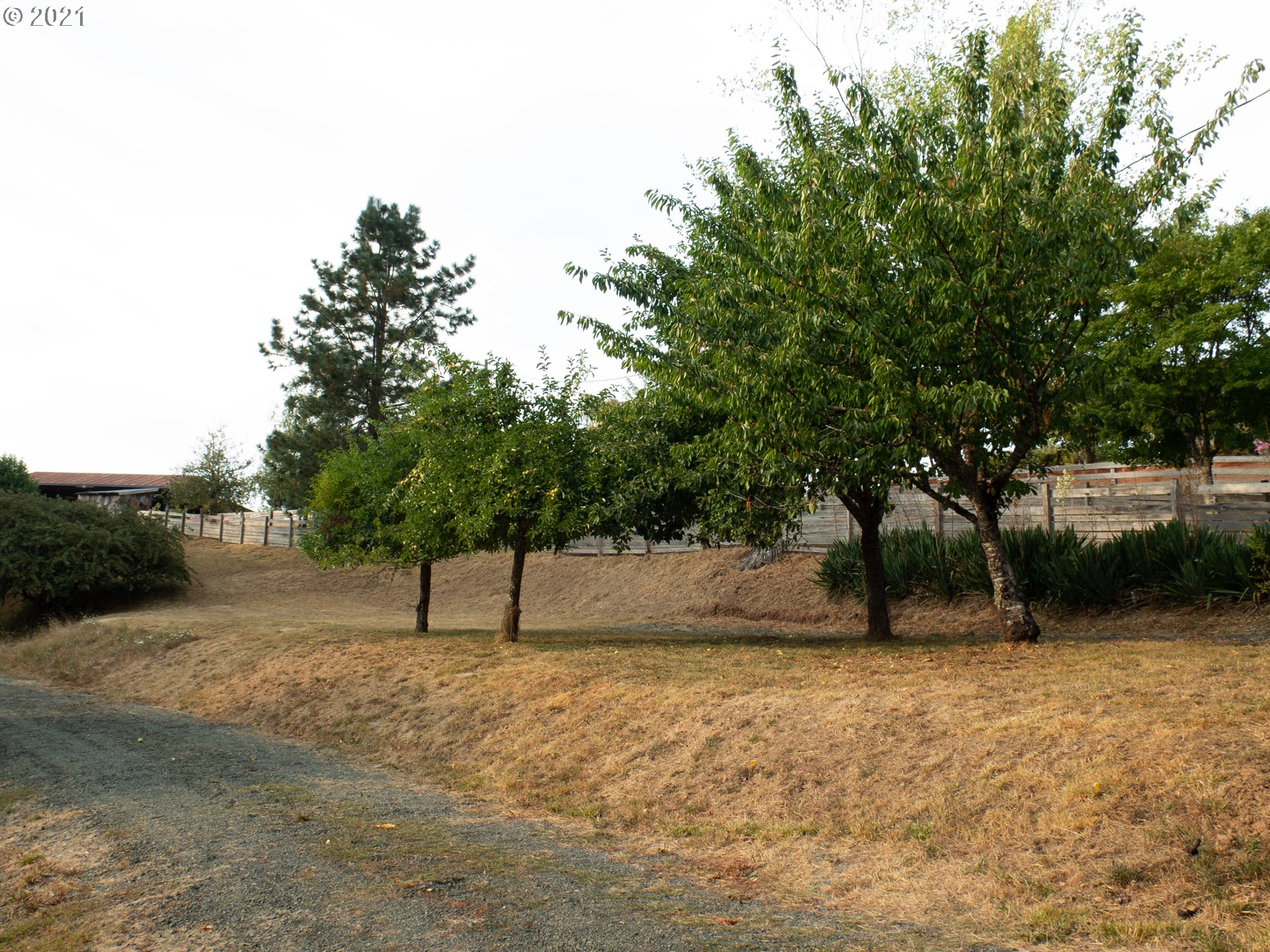 54401 Frontage Road Myrtle Point, OR 97458 - Photo 9 of 21 Gallery Image 9