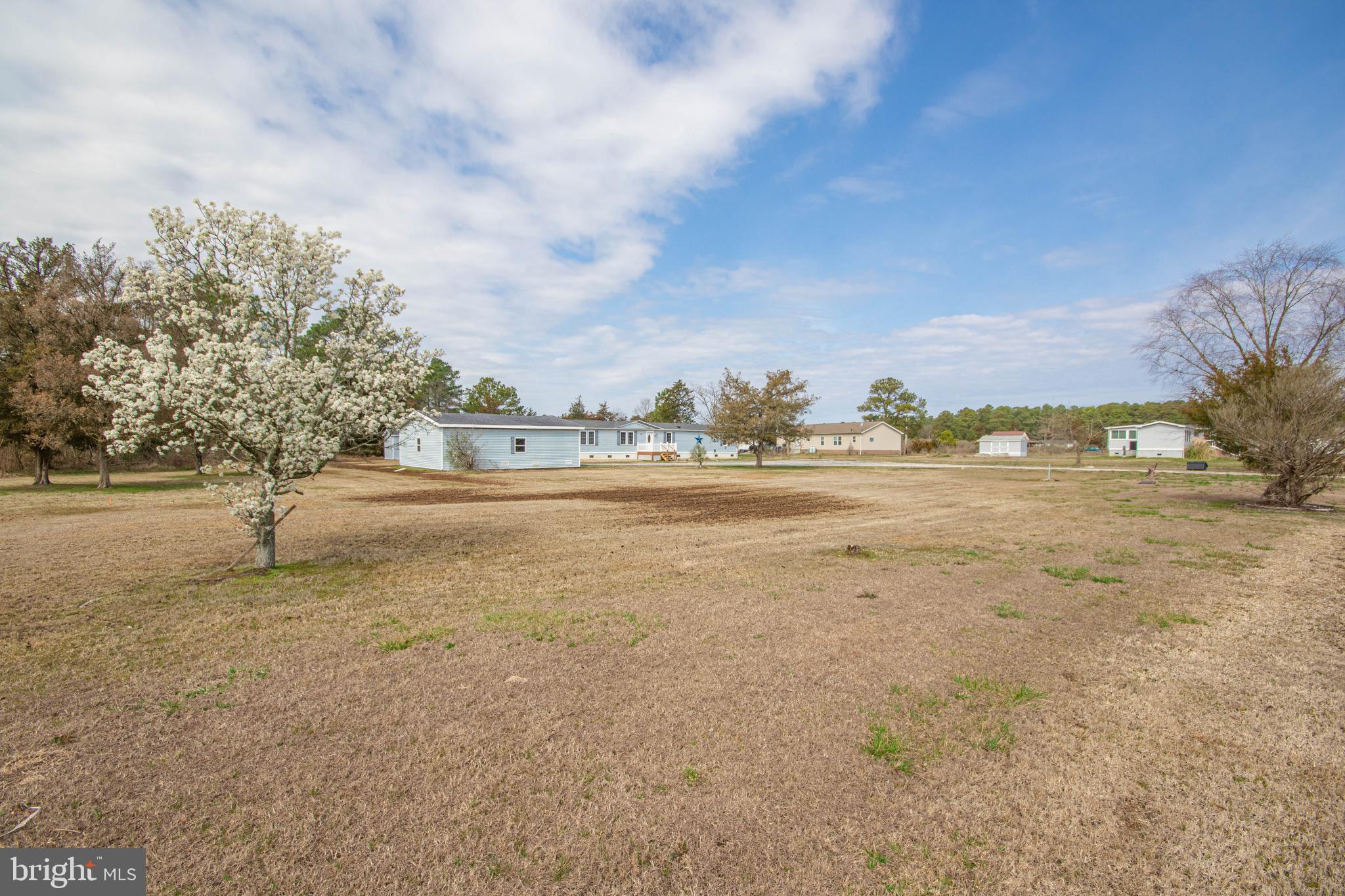 9962 Champ Road Princess Anne, MD 21853 - Photo 3 of 51