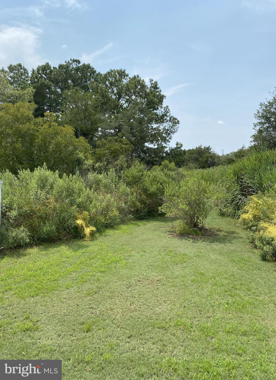 9962 Champ Road Princess Anne, MD 21853 - Photo 45 of 51
