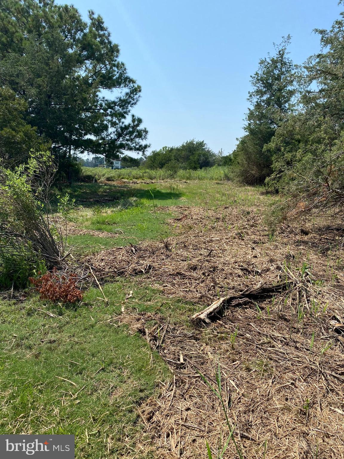 9962 Champ Road Princess Anne, MD 21853 - Photo 46 of 51 over 3 acres