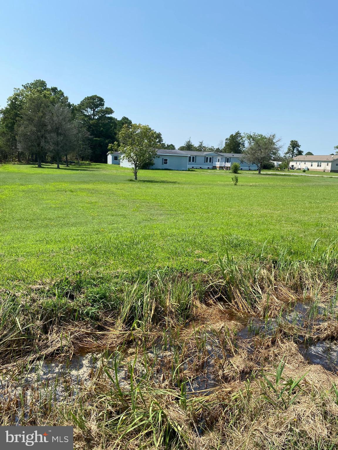 9962 Champ Road Princess Anne, MD 21853 - Photo 49 of 51 large front yard