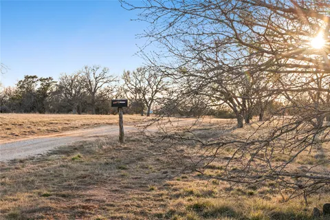 a street view with large trees