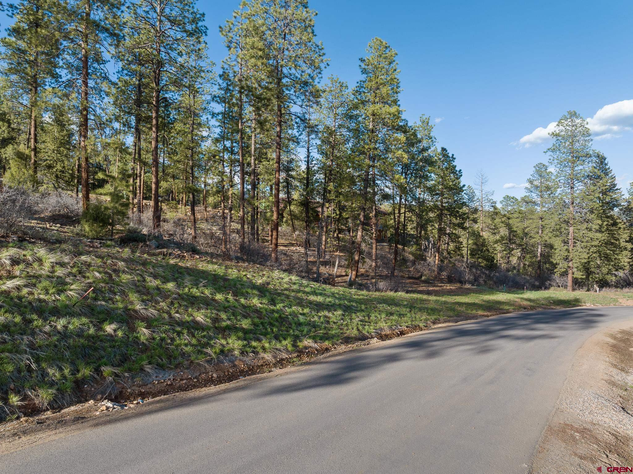 102 Red Canyon Trail Durango, CO 81301 - Photo 7 of 13 a view of a yard and a street view