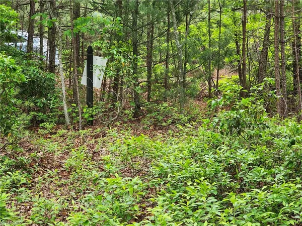 $38,500 | Tbd Tbd Derby Chase Court, McGrady, NC 28649