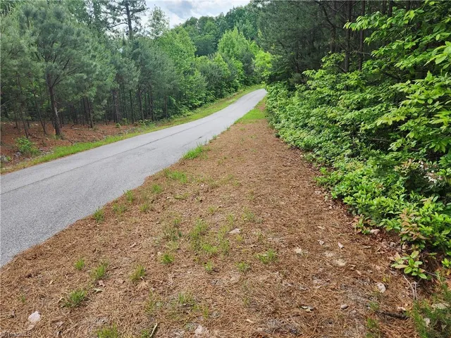 $38,500 | Tbd Tbd Derby Chase Court, McGrady, NC 28649