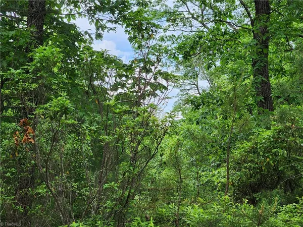 $38,500 | Tbd Tbd Derby Chase Court, McGrady, NC 28649