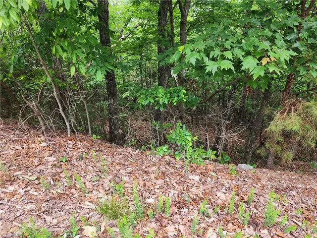 $38,500 | Tbd Tbd Derby Chase Court, McGrady, NC 28649