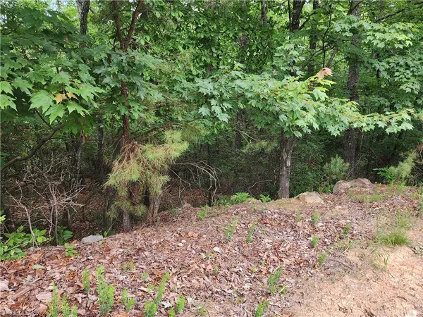 $38,500 | Tbd Tbd Derby Chase Court, McGrady, NC 28649