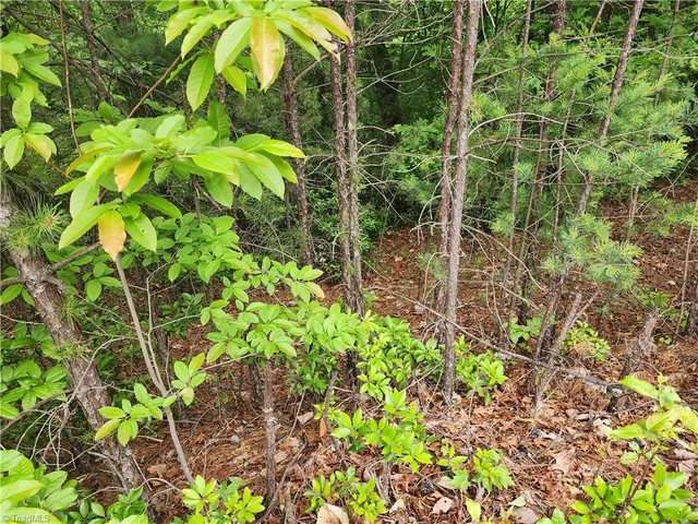 $38,500 | Tbd Tbd Derby Chase Court, McGrady, NC 28649