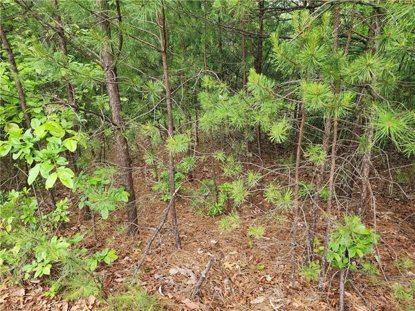 $38,500 | Tbd Tbd Derby Chase Court, McGrady, NC 28649