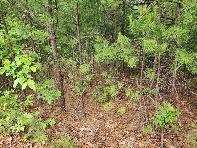 $38,500 | Tbd Tbd Derby Chase Court, McGrady, NC 28649