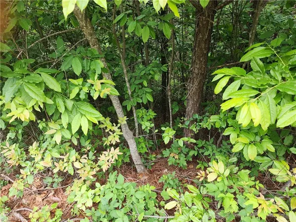 $38,500 | Tbd Tbd Derby Chase Court, McGrady, NC 28649