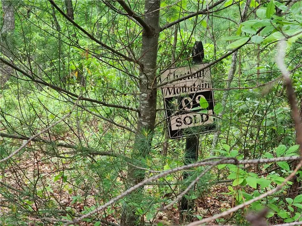 $38,500 | Tbd Tbd Derby Chase Court, McGrady, NC 28649