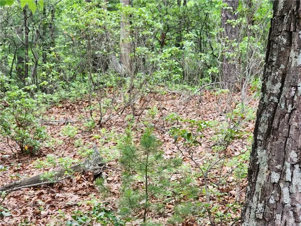 $38,500 | Tbd Tbd Derby Chase Court, McGrady, NC 28649