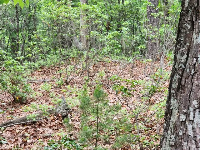 $38,500 | Tbd Tbd Derby Chase Court, McGrady, NC 28649