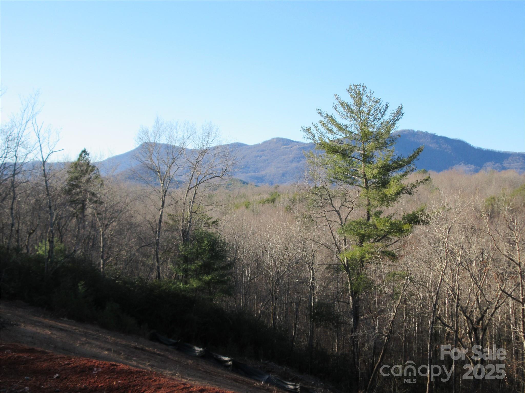 0 Levi Road Columbus, NC 28722 - Photo 11 of 48 a view of a house with a yard