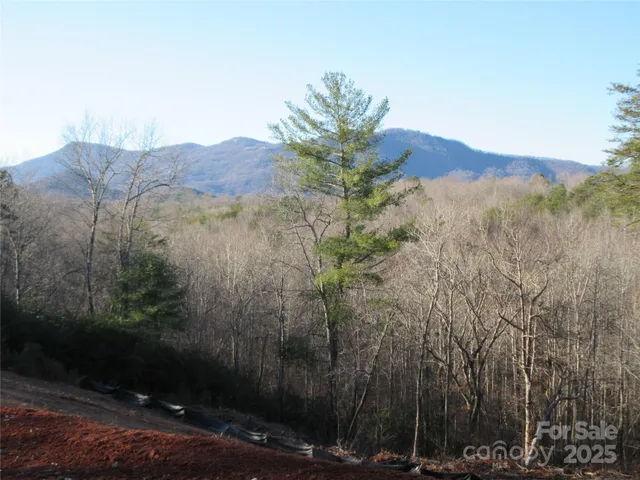 a view of road with trees
