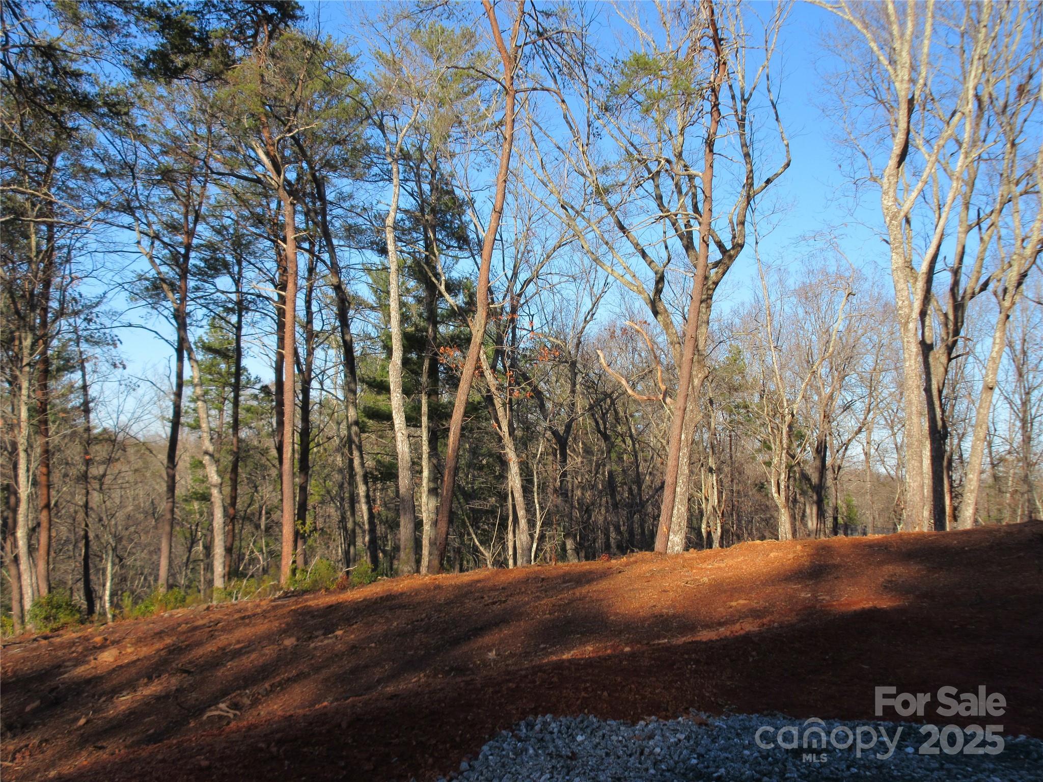 0 Levi Road Columbus, NC 28722 - Photo 15 of 48 a view of road with trees