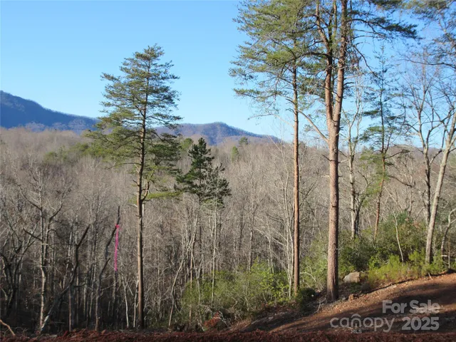 a view of a house with a mountain