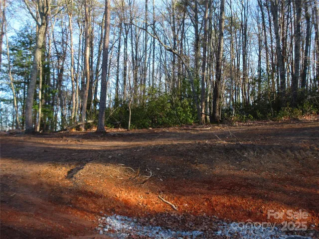 a view of dirt yard with a large trees